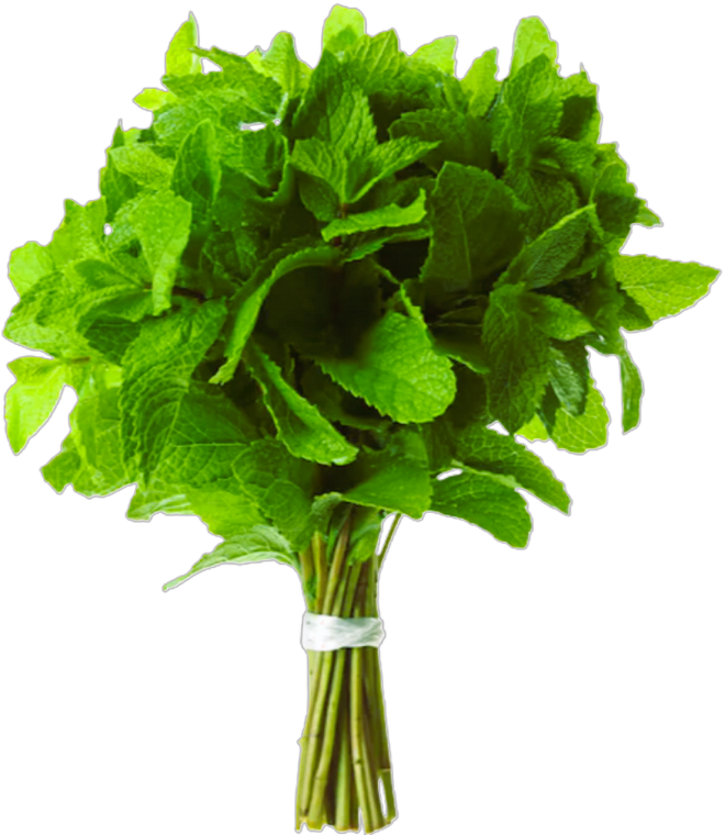 Mint Bunch 0.99