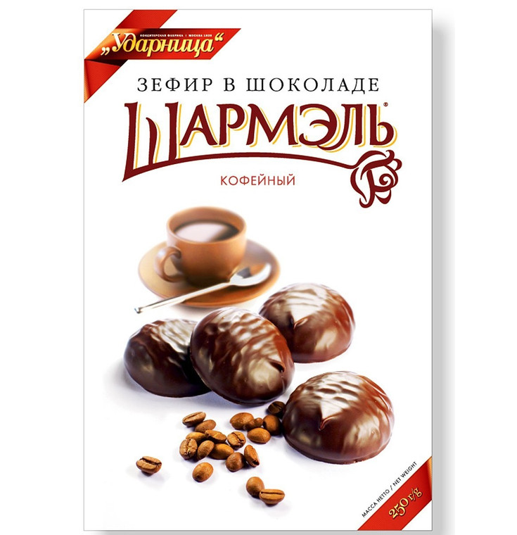 Russian Style Coffee Zefir in a Chocolate