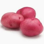 Red Potato EX Large 1 LB