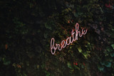 5 Gentle Yoga Asanas To Keep You Fit During Covid19