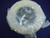 Filter 852690MIC10NBR Mahle 852-690-MIC-10-NBR