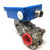 Flow Monitor 100013025 Eletta V1-GSS25 *New*