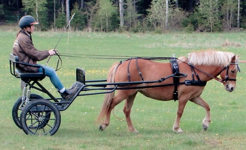 Patin De Traîneau EZ Entry Pour Cheval, Taille Poney/épi/grande, Moyeu 5/8, Essieu 4 1/4 - Neuf
