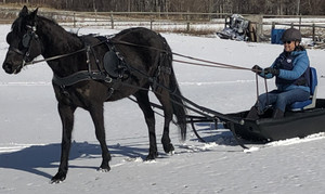 TRAINING, WORKING and SLEIGHING SHAFTS