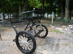 EMCarriage  Easy Entry Training Cart 10hh to 15hh