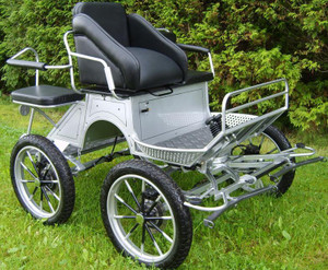 EMCarriage 4-Wheel Training Marathon EMCarriage 4-Wheel Training Marathon