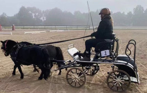 NEW: Mini Marathon Carriage NEW: Mini Marathon Carriage