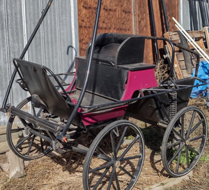 Pacific Carriage - Horse Size