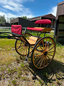 Horsepower Concepts Two Wheel Cart Horse size