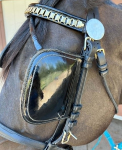 Freedman's Leather/Patent Cob/SmHorse Harness