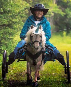 Brenda and Ricco lovin' the harness! Brenda and Ricco lovin' the harness!