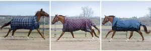 Canadian Horsewear Blankets from Tack Depot Canadian Horsewear Blankets from Tack Depot