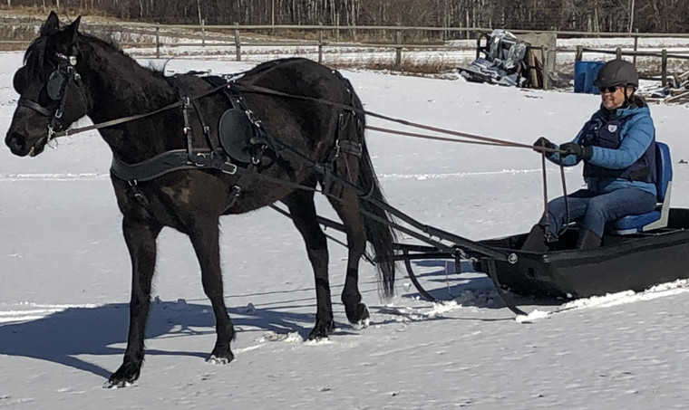 TRAINING, WORKING and SLEIGHING SHAFTS