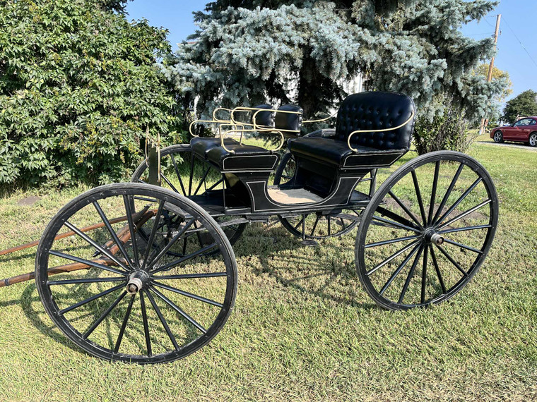 Horse Carriage - Landau Horse Carriage - Landau