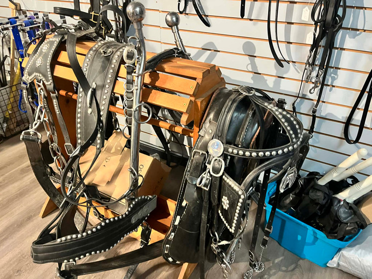 Draft Team Harness and Collars