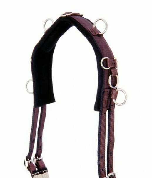 - Training Surcingles