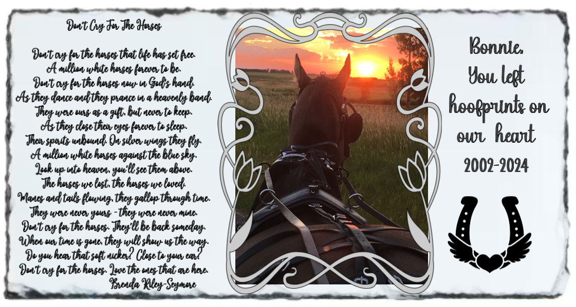 Pet/Equine Memorials