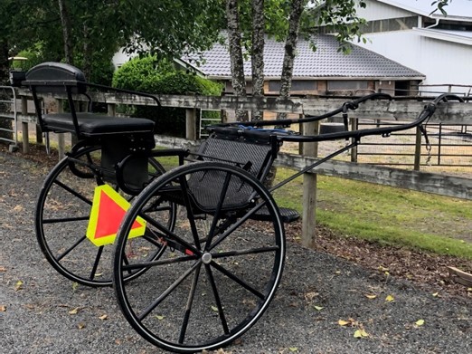 - Consigned/Used Vehicles