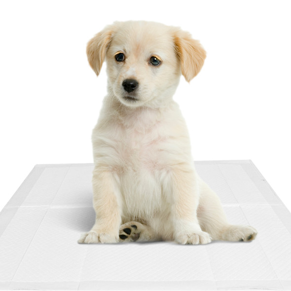 Puppy Training Pads Pack of 10 3-Layer Super Absorbent Odour Locking Mats