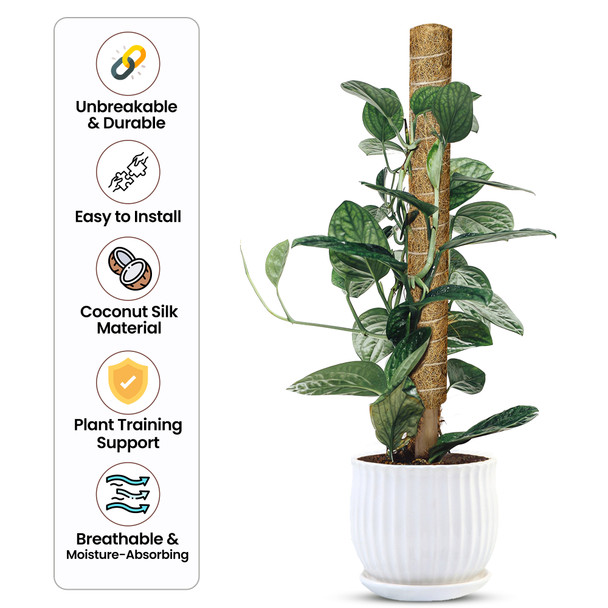 Moss Pole for Monstera and Cheese Plant, Natural Fibre Strong Coconut Coir Pole, Breathable and Moisture Absorbing, Easy to Use, 16-Inch Plant Moss Pole, Climbing Totem, Philodendron, Creepers
