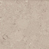 Caesarstone Bench Top Slab 3000 x 1400 -  Shitake™ 4230