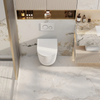 Raul 66 Wall Hung Pan With Geberit Inwall Cistern Sigma 8 - Rimless
