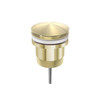 Nero Brushed Champagne Gold Universal Satin Popup Waste For Basin And Bathtub