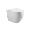 Raven Wall Hung Pan With R&T Inwall Cistern Raven Wall Hung Pan With R&T Inwall Cistern