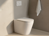 Jessen Quiet Swirl Flush Wall Faced Pan with R&T Inwall Cistern (Rimless + Tornado)
