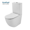 Danza Wall Faced Toilet Suite Danza Wall Faced Toilet Suite