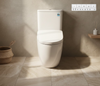 ELONG BTW Wall Faced Toilet Rimless Toilet Suite with S7 TOTO Washlet Package TCF47360GAU    