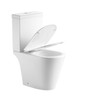 Rocca Tornado Rimless Toilet Suite  Rocca Tornado Rimless Toilet Suite