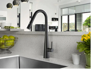 Linsol Aria Matte Black Kitchen Mixer with Pull-Out Hose