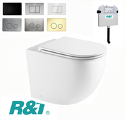 Raul 99 Wall Faced Pan with R&T Inwall Cistern - Rimless