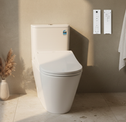 Dara BTW Wall Faced Toilet Rimless Toilet Suite with S5 TOTO Washlet Package    