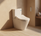 Dara BTW Wall Faced Toilet Rimless Toilet Suite with S7 TOTO Washlet Package    