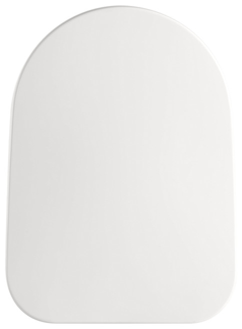 Smart Electric Toilet Cover Seat with Remote control 