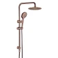 Twin Shower Combination Ideal Shower System With Rail (Rose Gold)   shower head round 200mm*2mm
