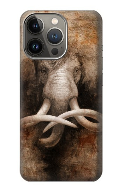 W3427 Mammoth Ancient Cave Art Hard Case and Leather Flip Case For iPhone 13 Pro