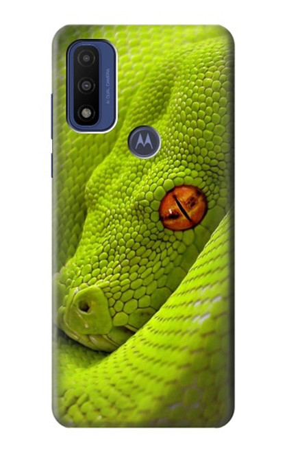 W0785 Green Snake Hard Case and Leather Flip Case For Motorola G Pure