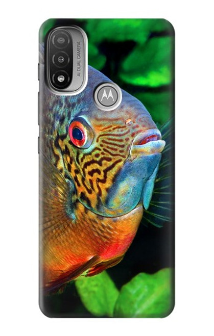 W1812 Cichlid Fish Hard Case and Leather Flip Case For Motorola Moto E20,E30,E40