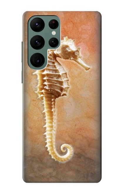 W2674 Seahorse Skeleton Fossil Hard Case and Leather Flip Case For Samsung Galaxy S22 Ultra