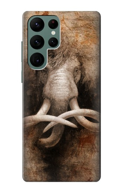 W3427 Mammoth Ancient Cave Art Hard Case and Leather Flip Case For Samsung Galaxy S22 Ultra