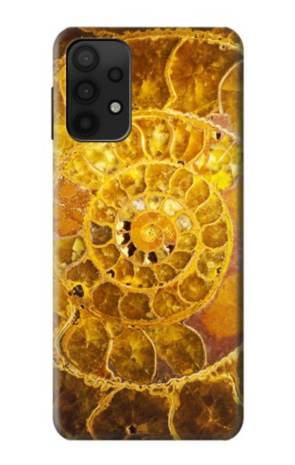 W1789 Ammonite Fossils Hard Case and Leather Flip Case For Samsung Galaxy M32 5G