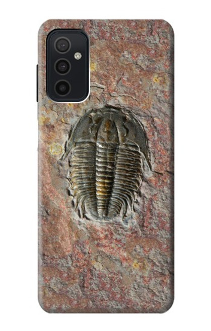 W1454 Trilobite Fossil Hard Case and Leather Flip Case For Samsung Galaxy M52 5G