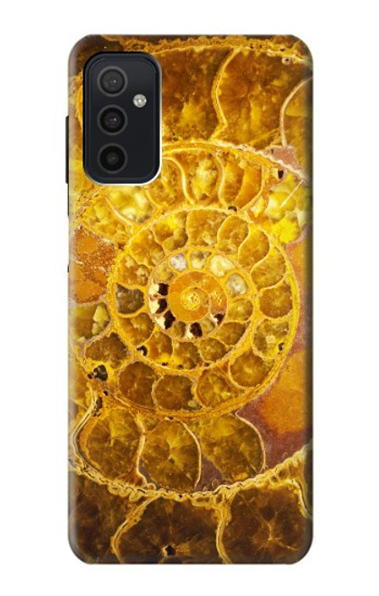 W1789 Ammonite Fossils Hard Case and Leather Flip Case For Samsung Galaxy M52 5G