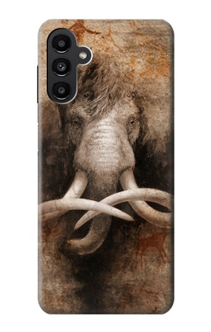 W3427 Mammoth Ancient Cave Art Hard Case and Leather Flip Case For Samsung Galaxy A13 5G