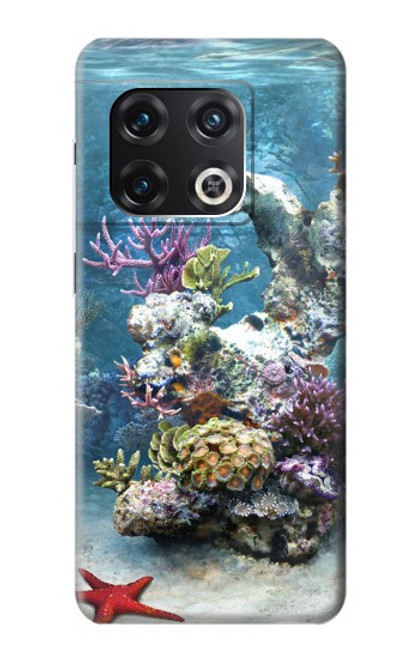 W0227 Aquarium Hard Case and Leather Flip Case For OnePlus 10 Pro