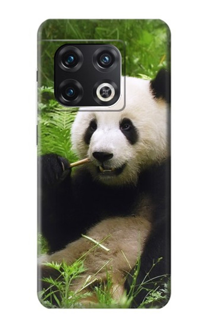 W1073 Panda Enjoy Eating Hard Case and Leather Flip Case For OnePlus 10 Pro