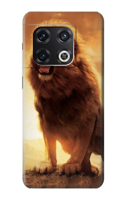 W1957 Lion Aslan Hard Case and Leather Flip Case For OnePlus 10 Pro